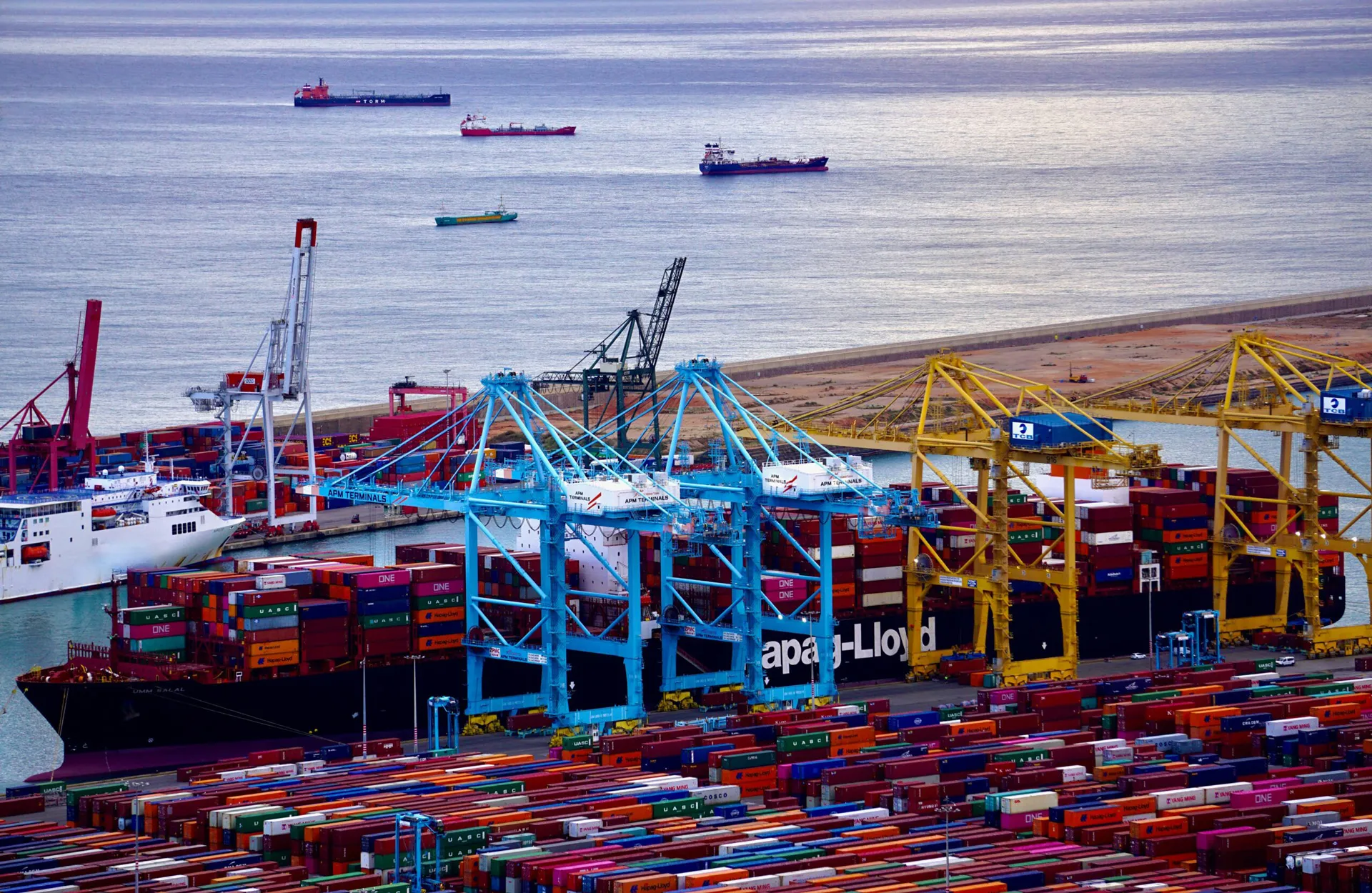 Navigating the Waves of Commerce: An In-Depth Overview of Ocean Freight and Its Pivotal Role in Global Trade