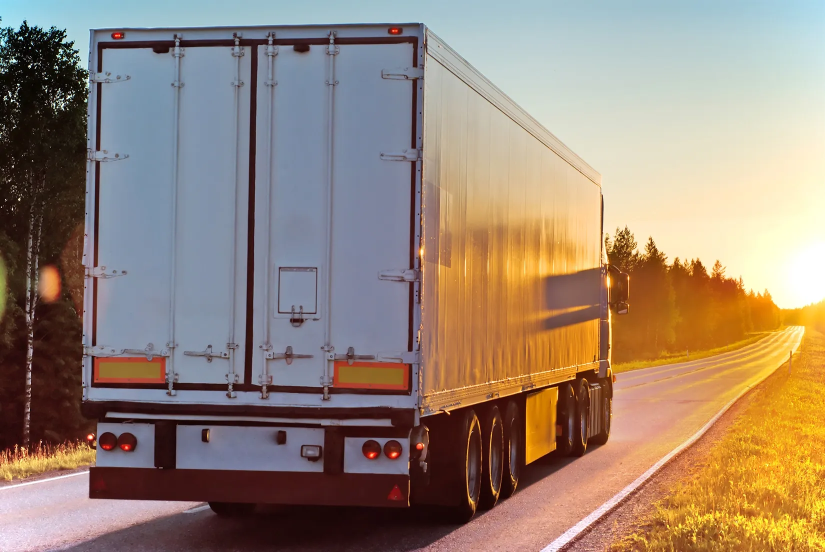 Expedited vs standart shipping Expedited vs standart shipping